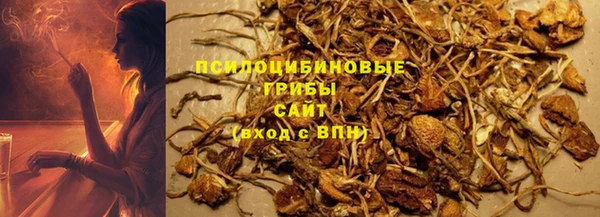 Альфа ПВП Нефтекумск